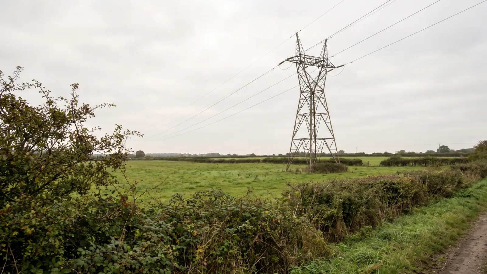 An electricity pylon in a green field on an overcast British day, cables running to the horizon