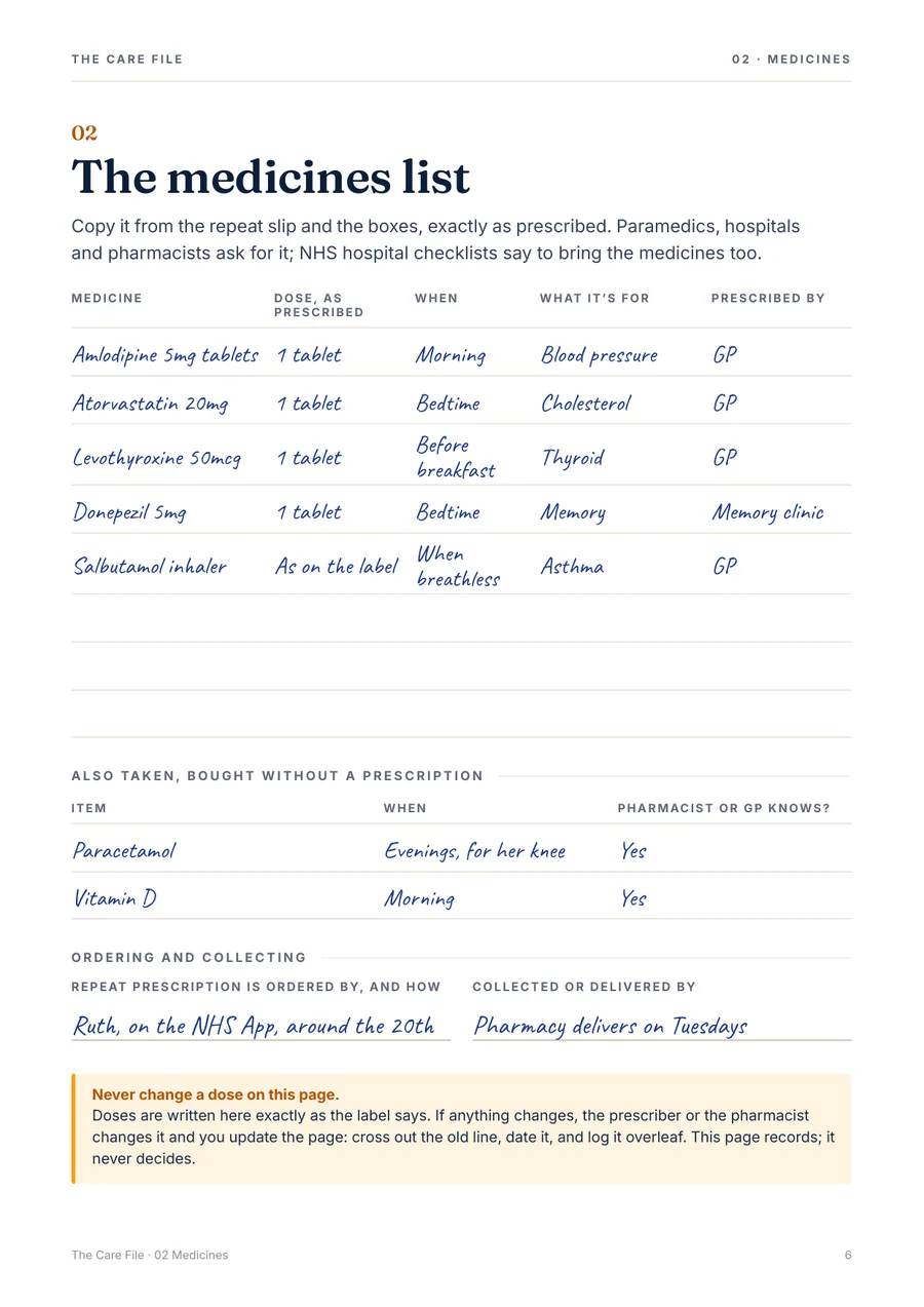 The Care File: page preview 2